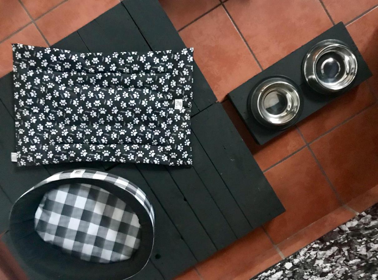 Hotel Boutique Casa Catala Tlaxcala Dış mekan fotoğraf